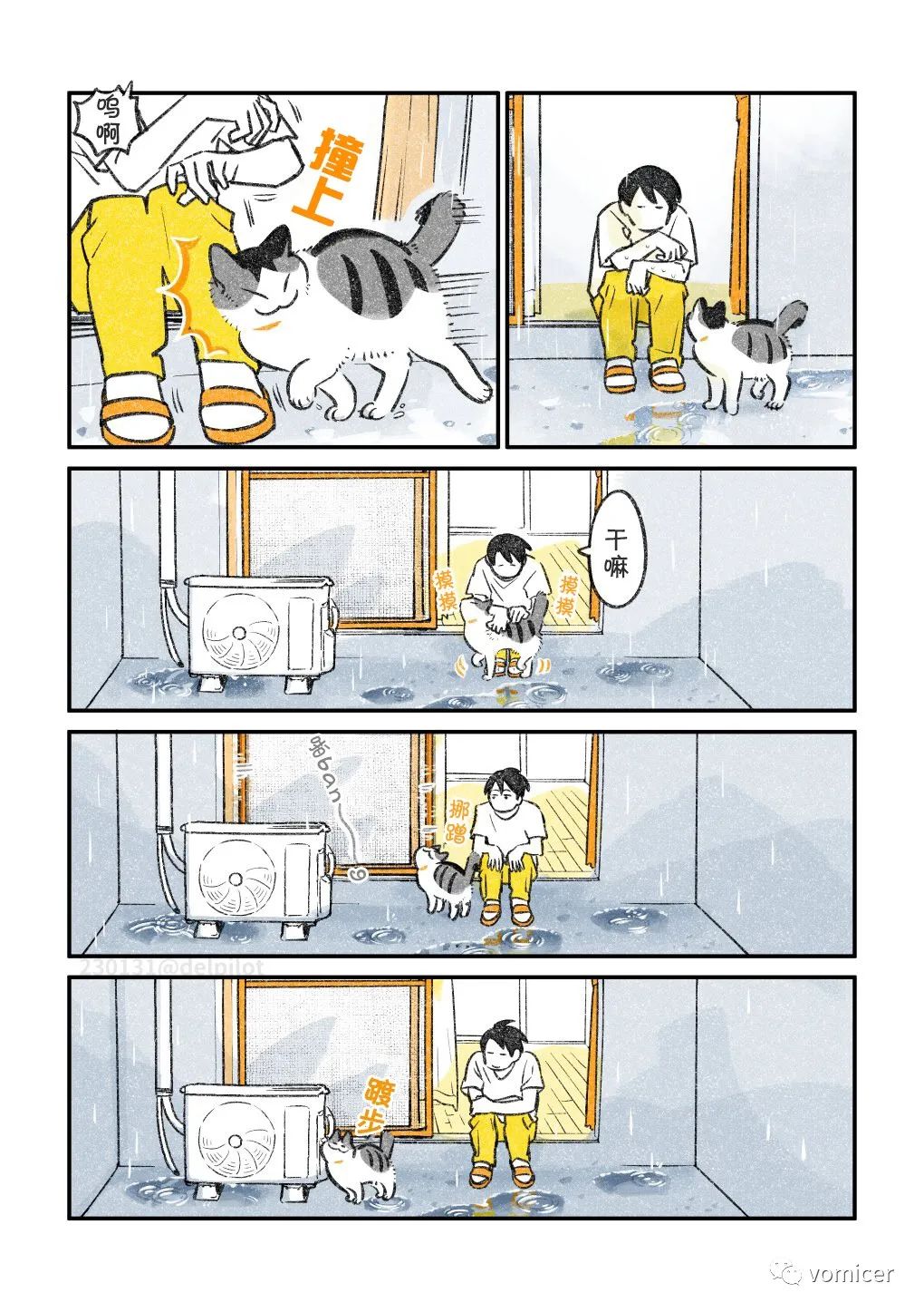 夏日阳台上的猫,阳台上的猫和鸟