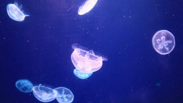 毕业季来旅游,毕业季到这里尽情告别