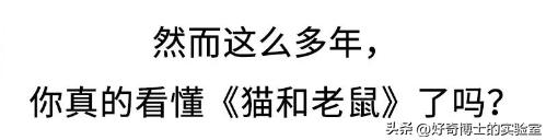 《猫和老鼠》其实不是儿童动画片而是成人片