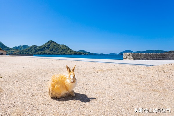 日本山阴地区旅游攻略,日本山阴旅行