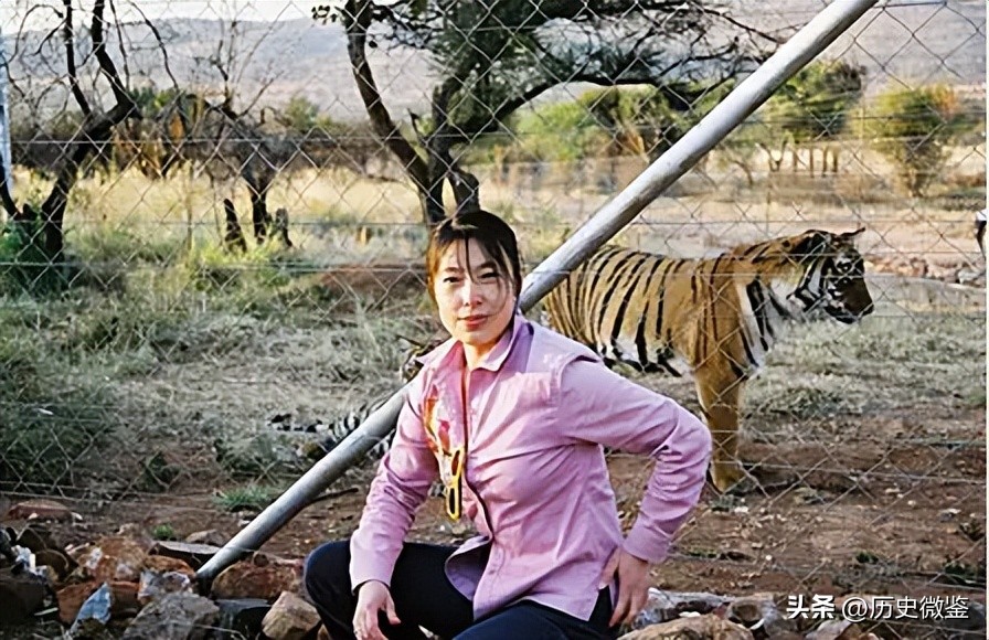 中国将5只华南虎放到非洲草原，繁衍15只后，为何迟迟不回中国