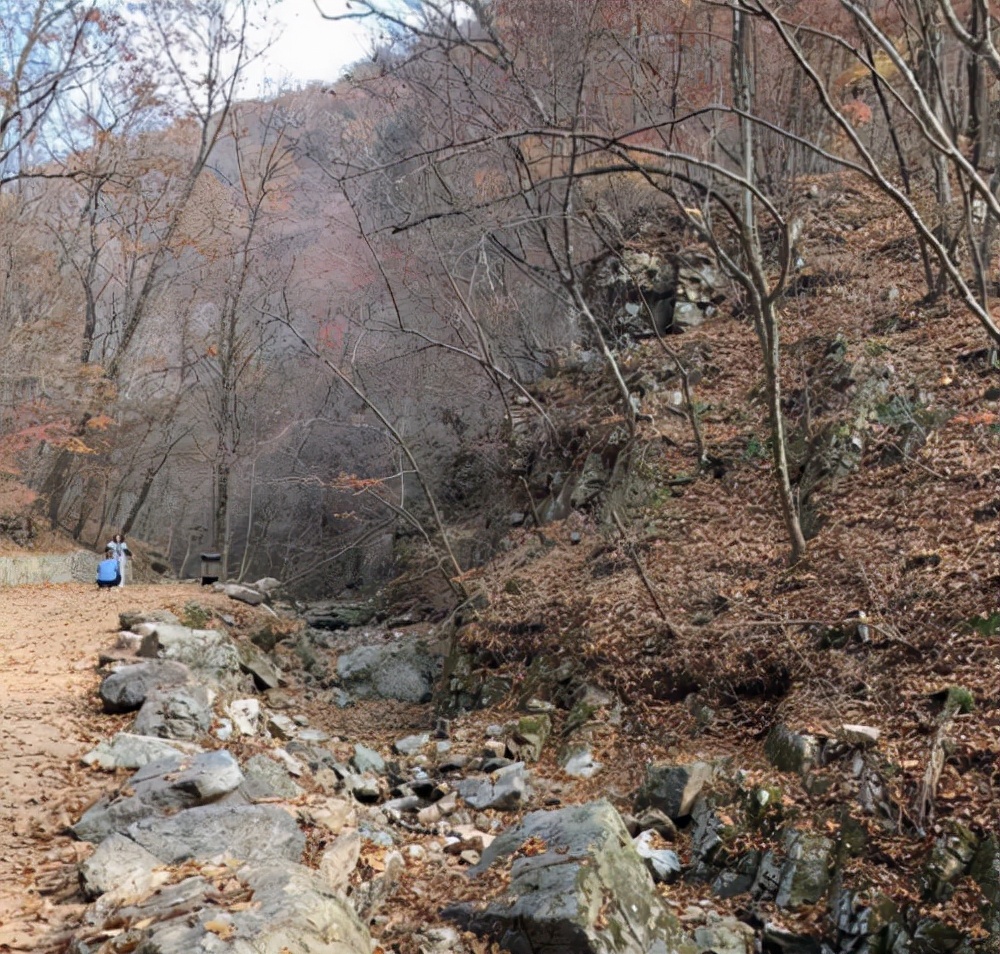 固特异轮胎质保范围,固特异轮胎安全性