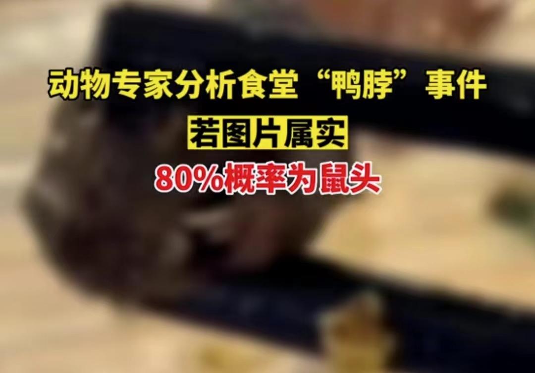 闹大了！“老鼠头事件”，教育厅出马，会不会有人已经瑟瑟发抖？