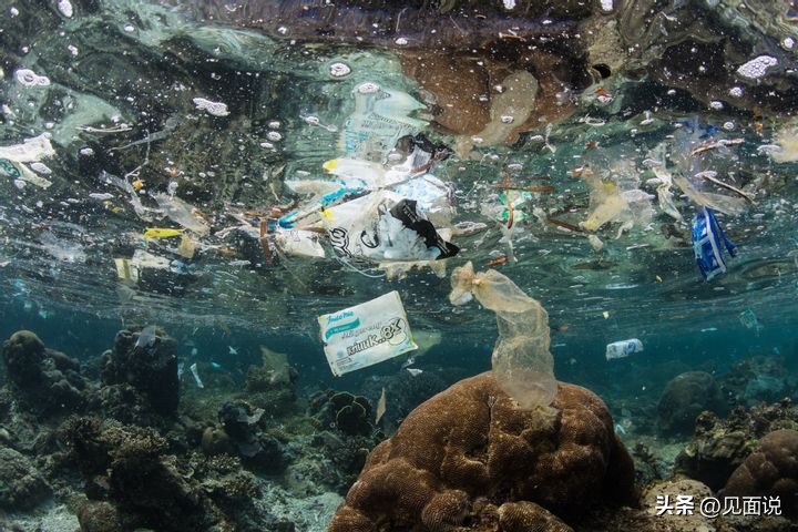 蓝洞潜水全过程,潜水员第一视角海底宝藏