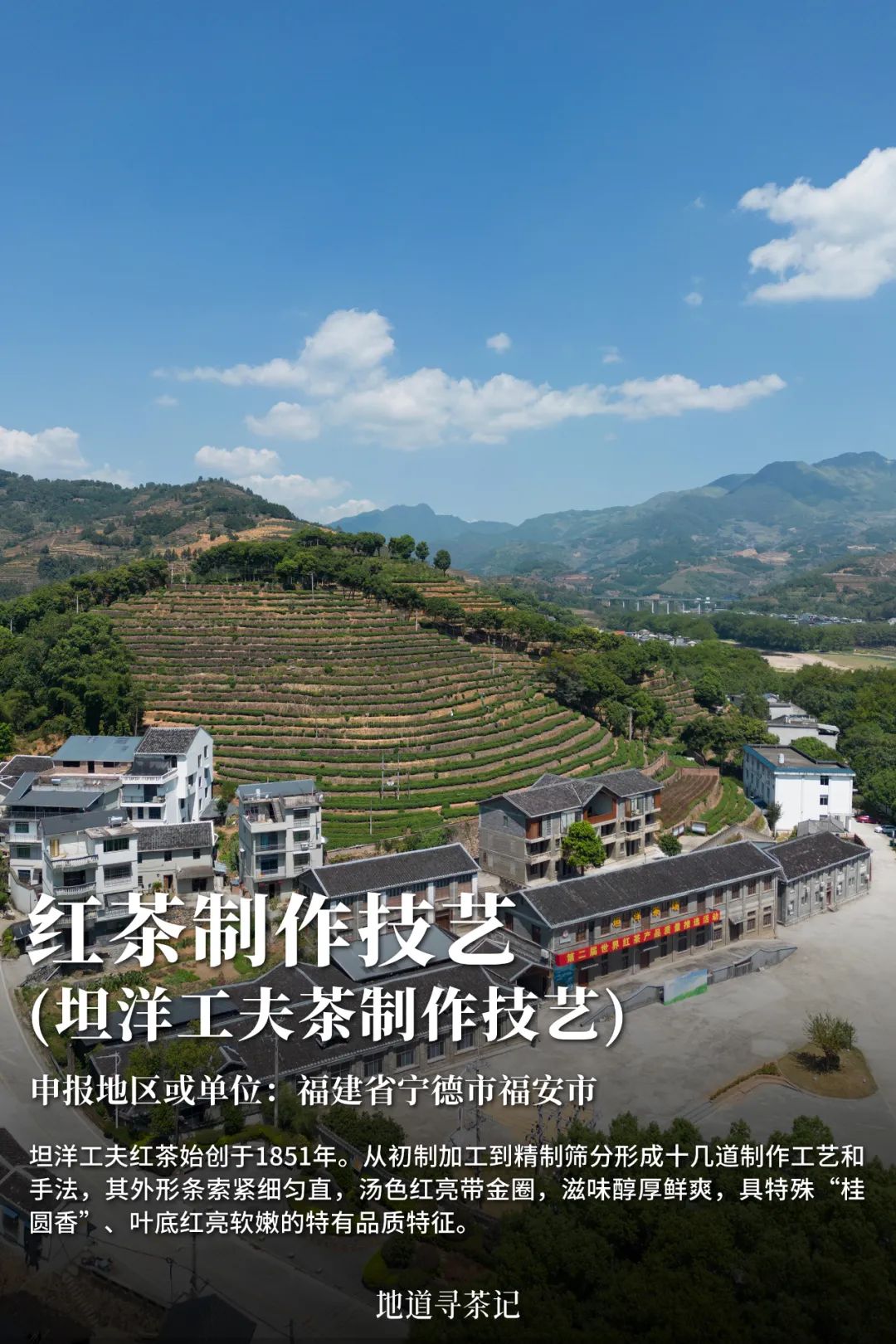 传统的制茶技艺,传统制茶技艺介绍