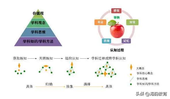 小学数学结构化的实践探索,小学数学结构化教学课例