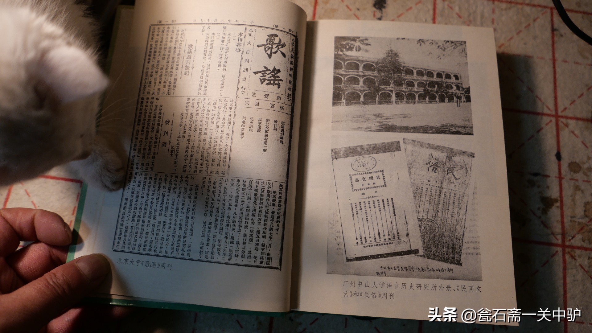 中国民俗学史,通读中国历史需要选哪本书