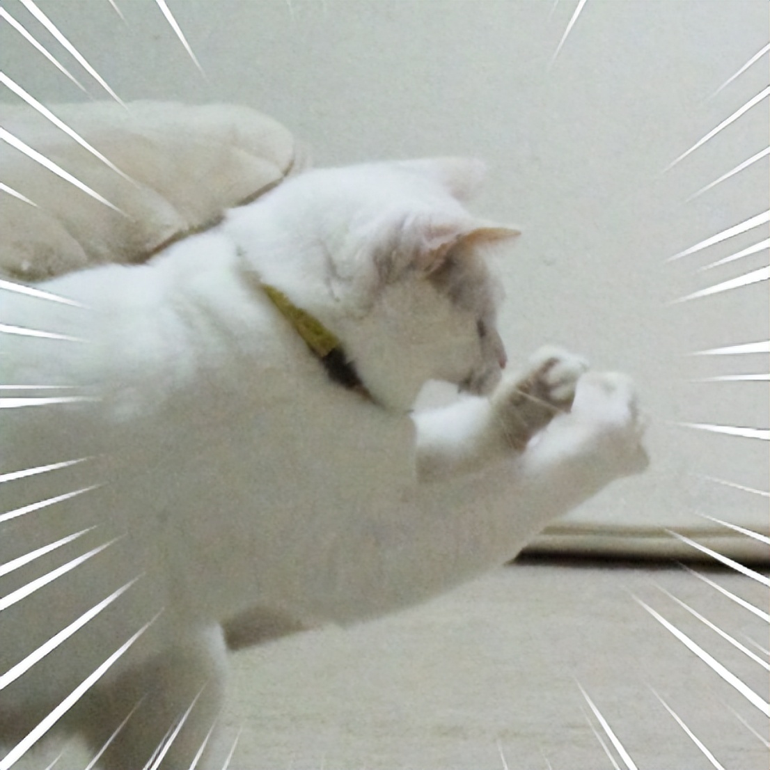 今年的显卡矿难啥时候能结束,显卡矿难是什么原因引起的