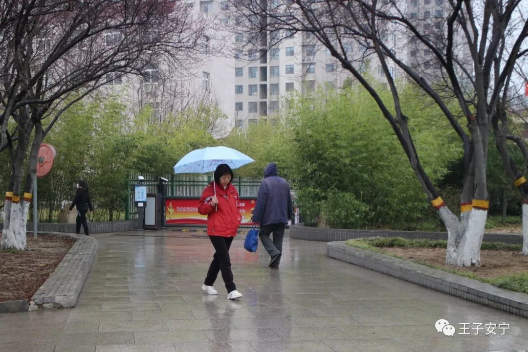 微雨，花语，嫣然风情