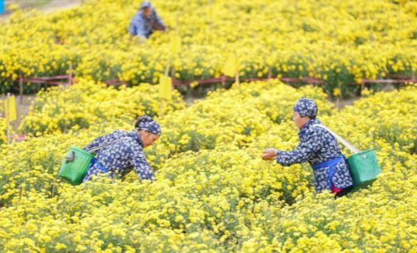 江西十大能带走吃的特产,江西特产有哪些值得吃