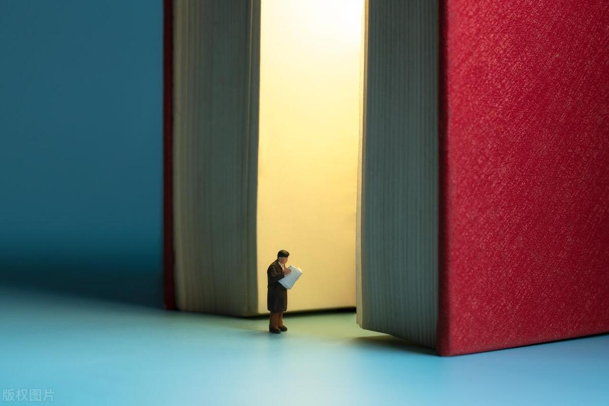 家驴和野驴的读书收获,灰尘的旅行的读书收获