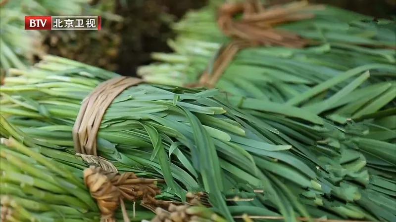 春季养肝明目菜,立春养肝最好的食物