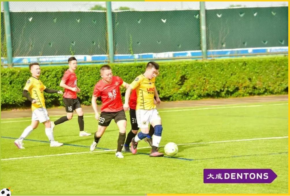 足球锦标赛圆满闭幕,第九届大成杯足球锦标赛