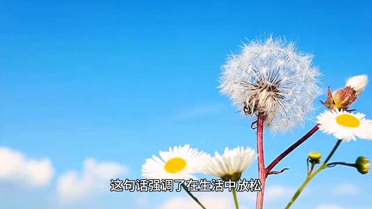 该玩玩，该乐乐，破事不要管太多！#知识前沿派对