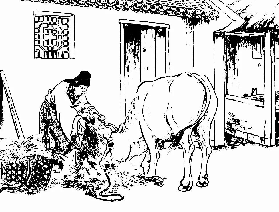 民间故事老龟讲述,民间故事千年老龟