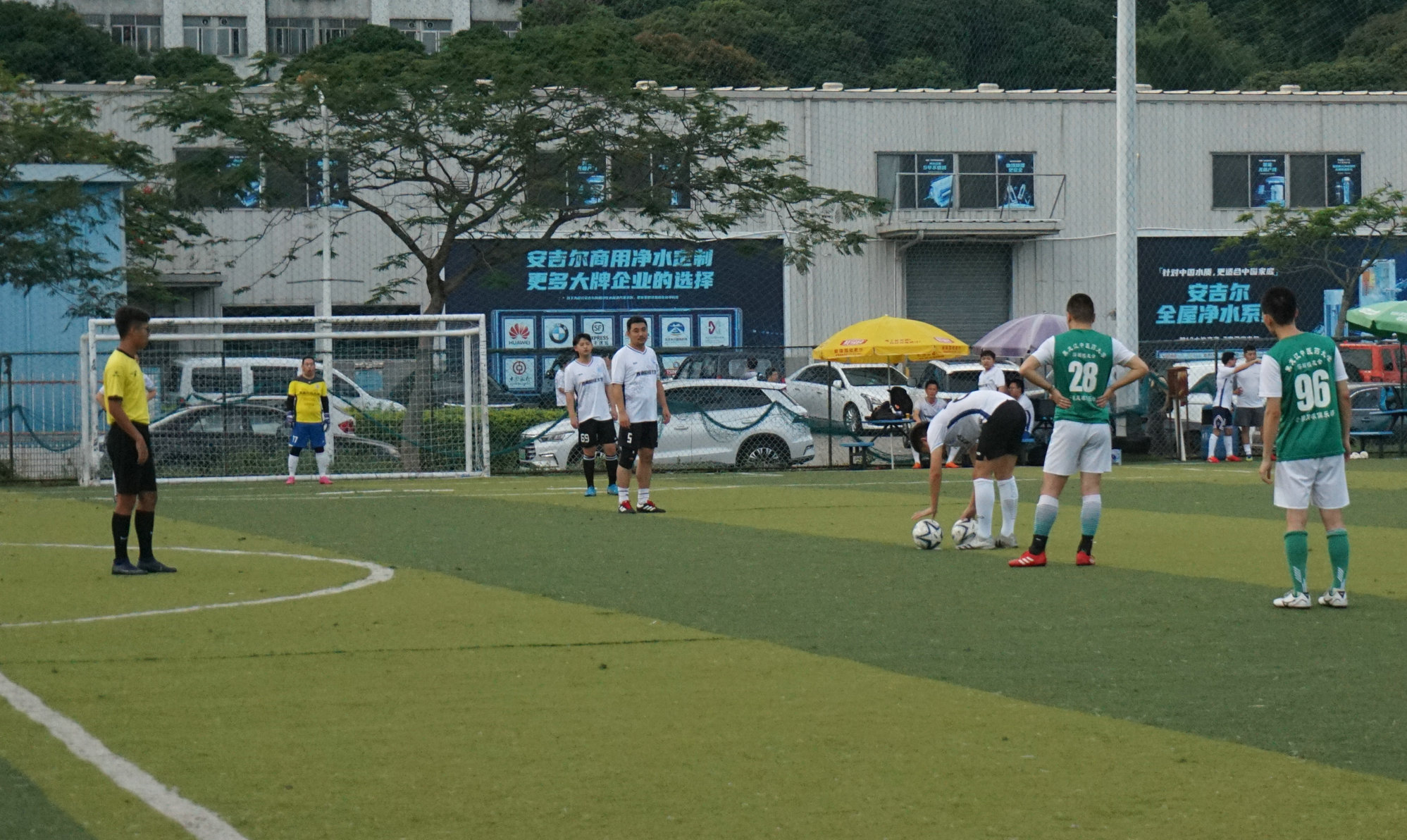 西南财大vs金强,苍狼vs老虎