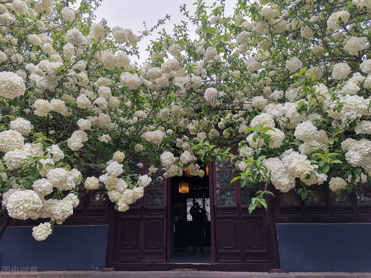 南京城东宝藏公园,南京小众宝藏地