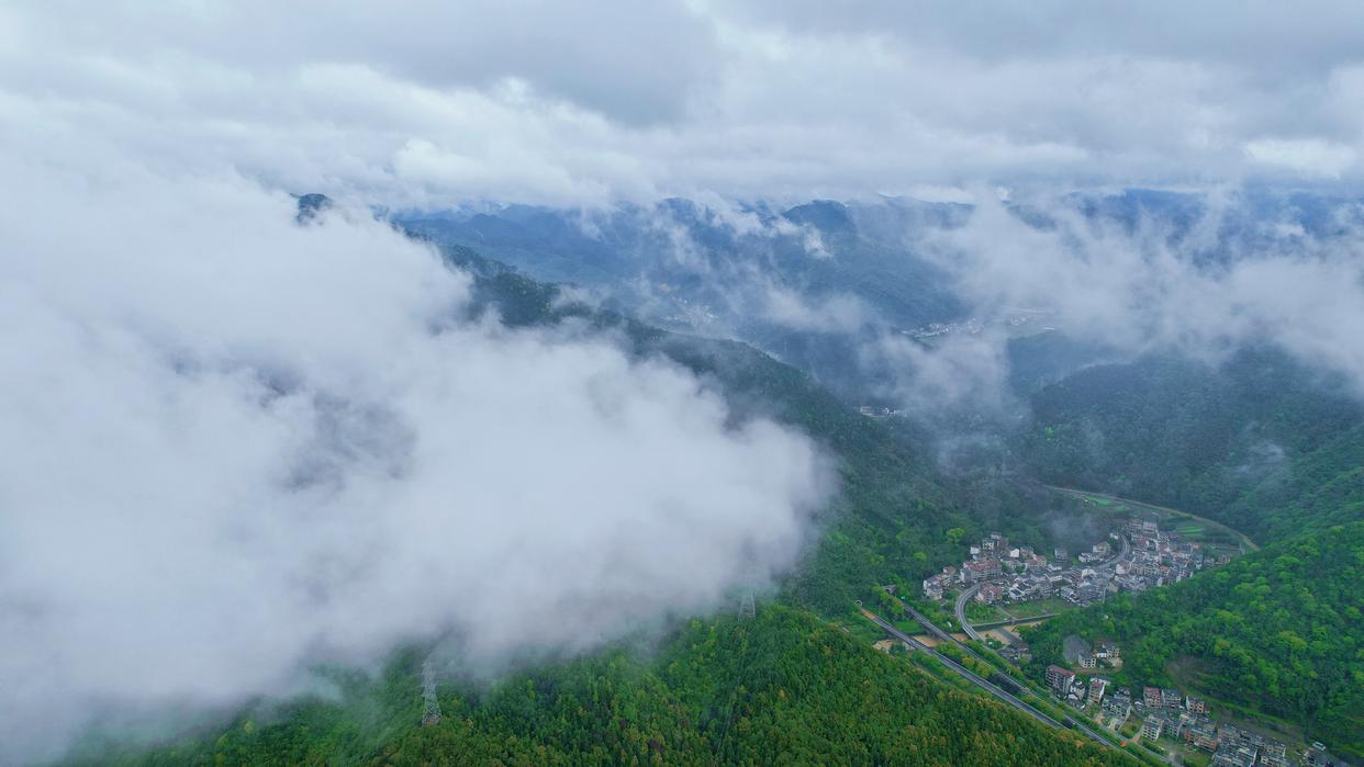 建德刀笃菜,倒笃菜是建德非遗吗