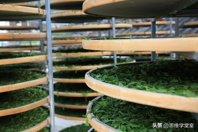 送人茶叶要擦亮眼睛，不然可能后悔——一位不明真相的网友的故事