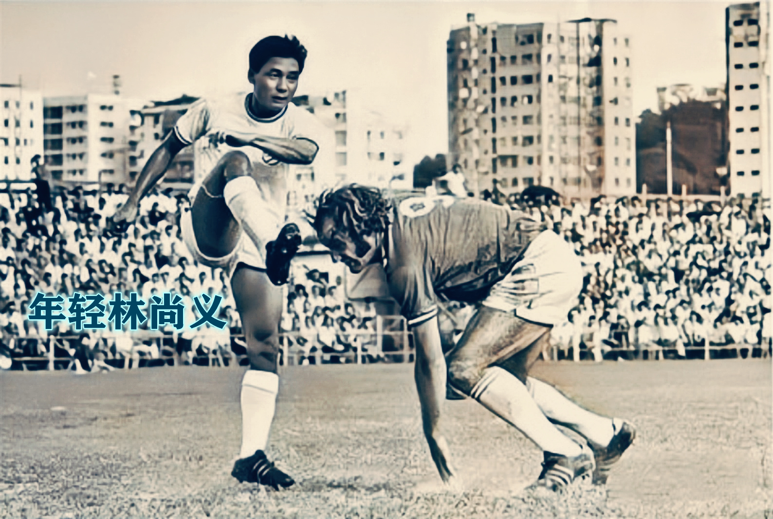 重炮牧师林尚义,古惑仔牧师重炮为什么没人敢动