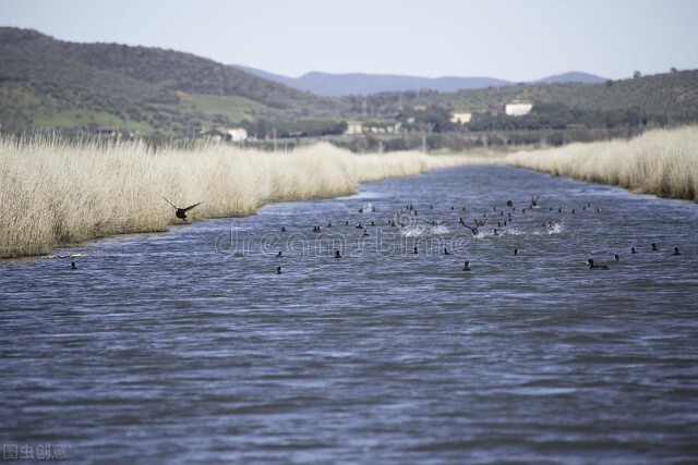 人生物极必反盛极必衰,人生的大智慧物极必反