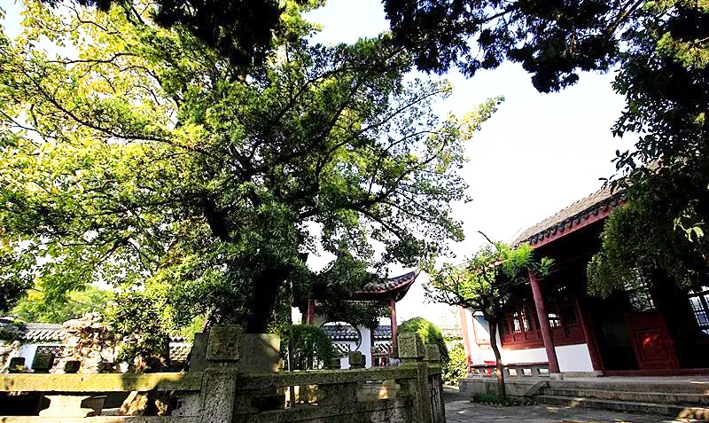 上海老街复古一条街风景,上海一条落魄的老街