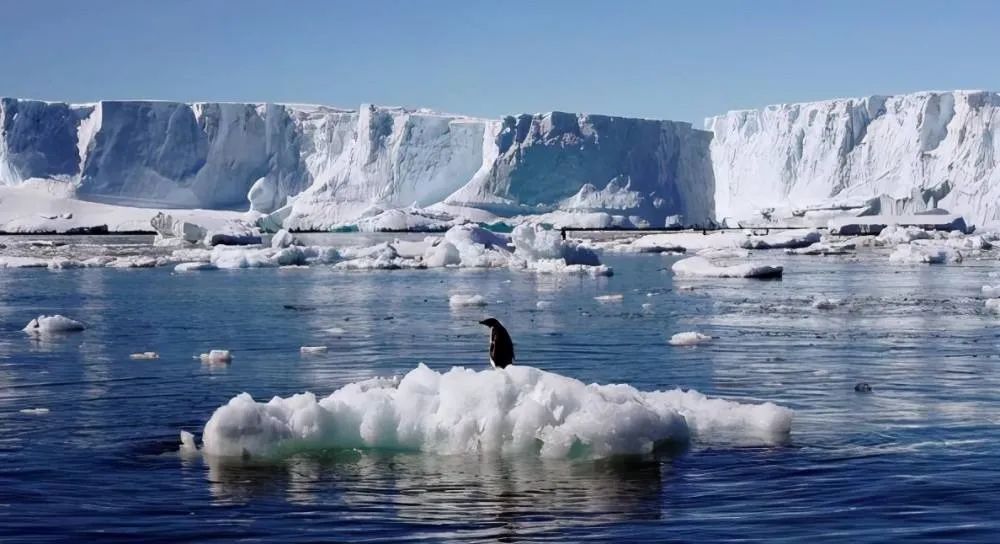 为地表降温1℃的比亚迪,为地球降温