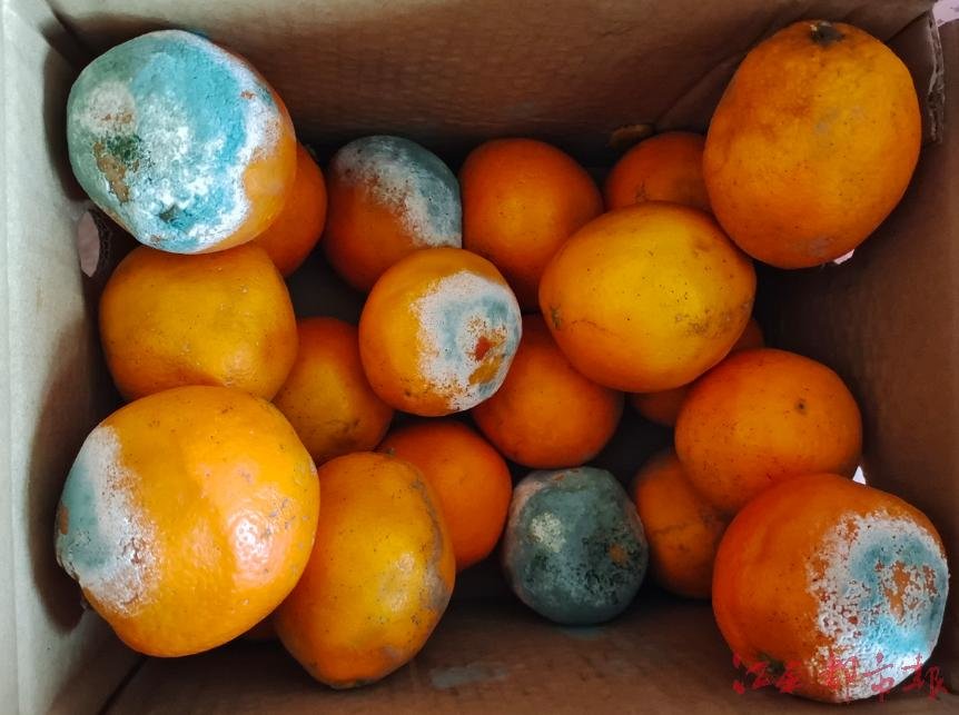 收到了赣南脐橙快递,邮政快递发脐橙靠谱么