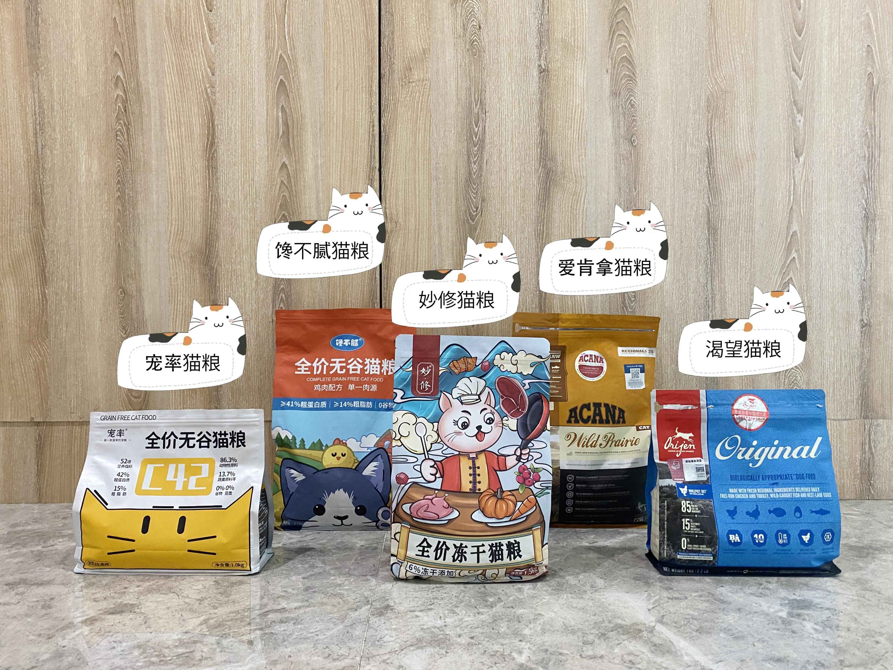 猫界巨人,缅因猫怎么选出能长很大的猫