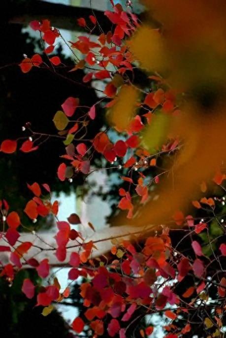 人生想开了都是答案,人生这么短暂想开了就无所谓了