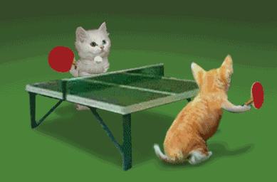 搜索30个乒乓球比赛冷知识,乒乓球的冷知识科普