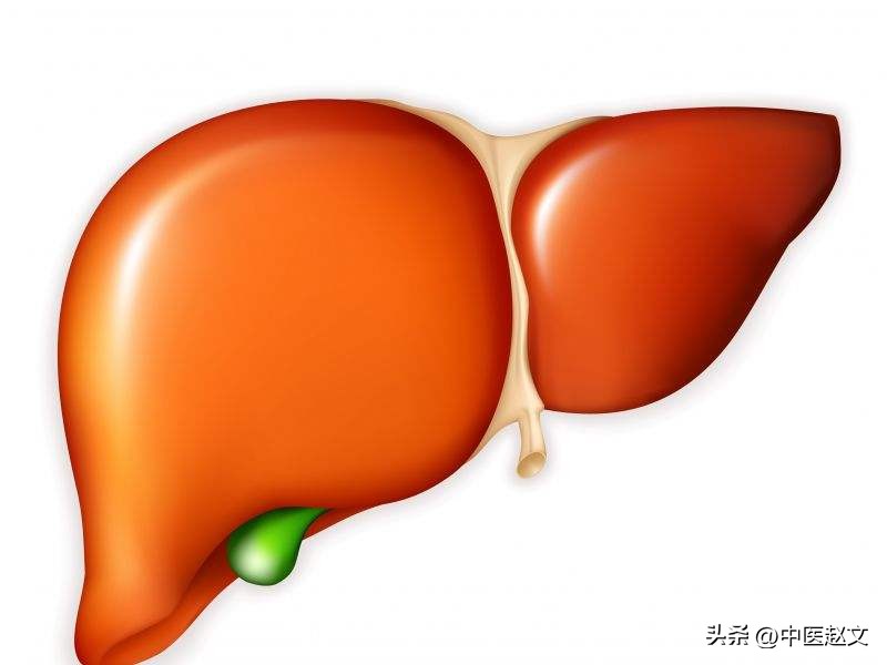 养肝就是养命一味中成药,养肝就是养命吃哪几种维生素