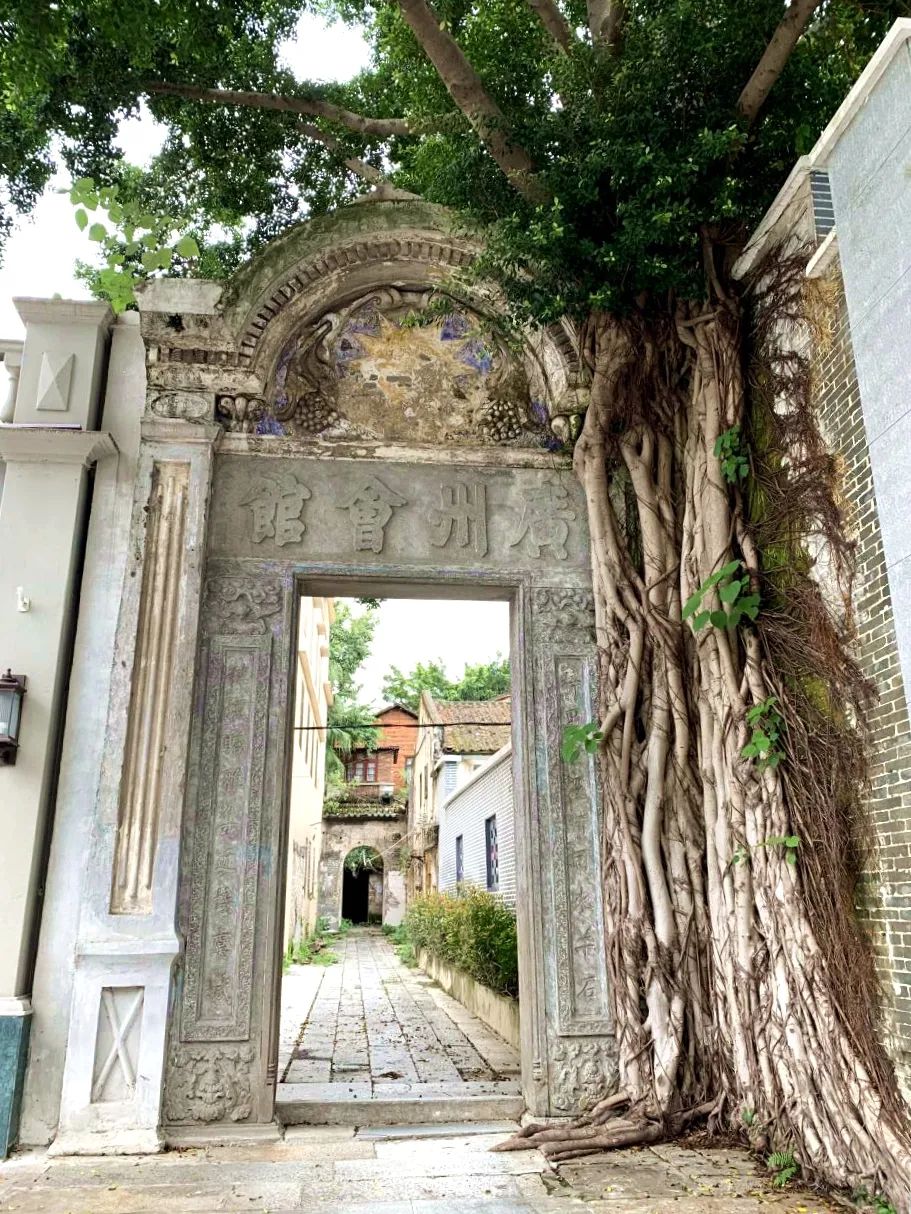 letsgo一周目图文攻略,letsgo图鉴攻略