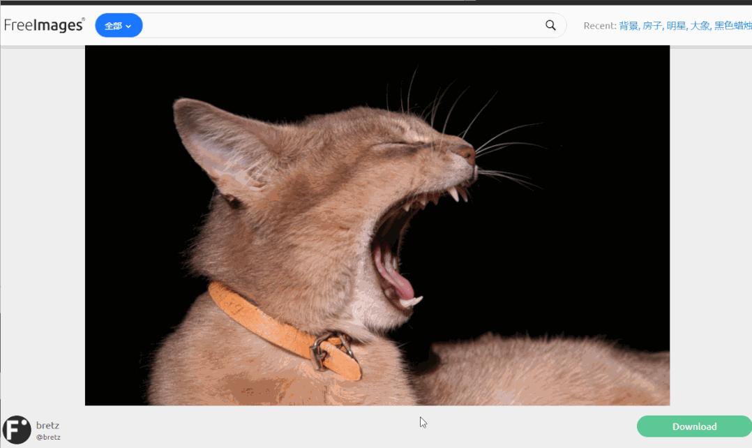 免费图片图库大全,免费图库素材网站