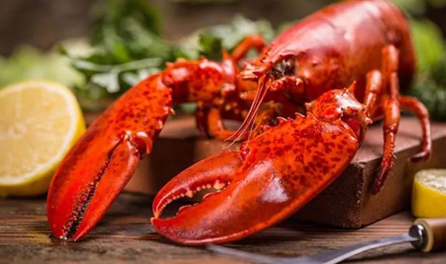 儿童画小龙虾怎么画,少儿美术创意画夏日小龙虾