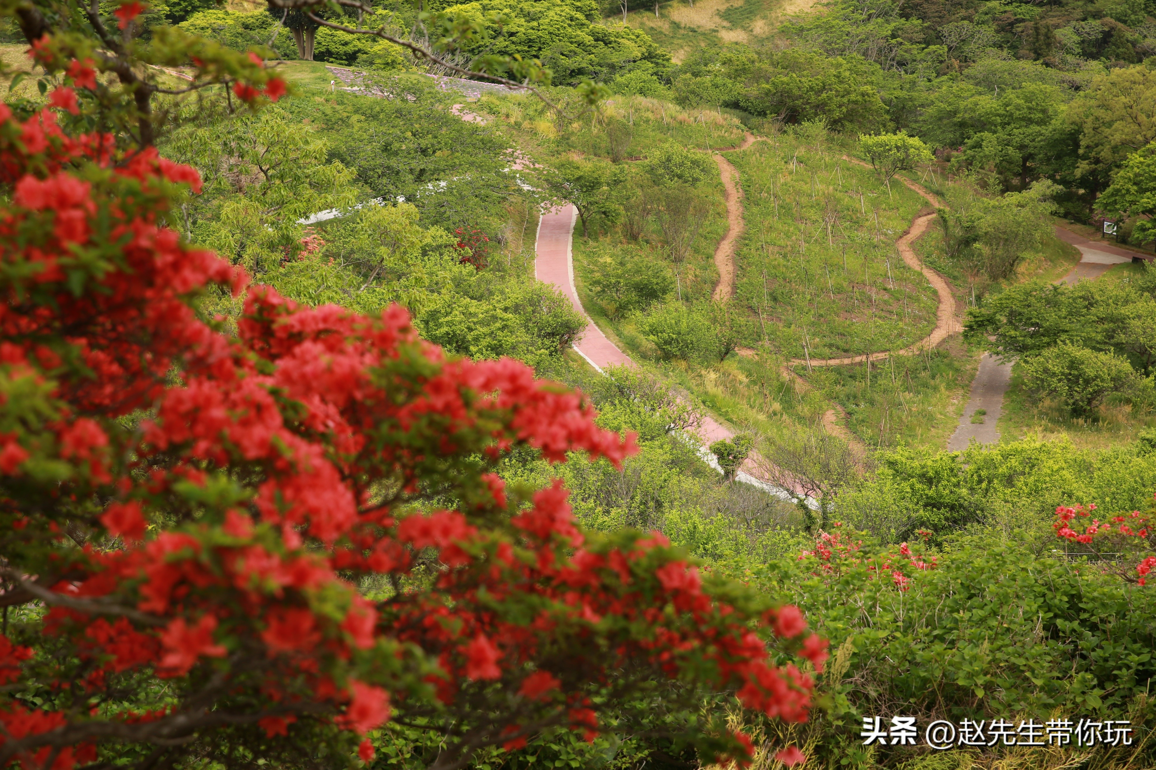 20年旅行总结,二十年游历分享