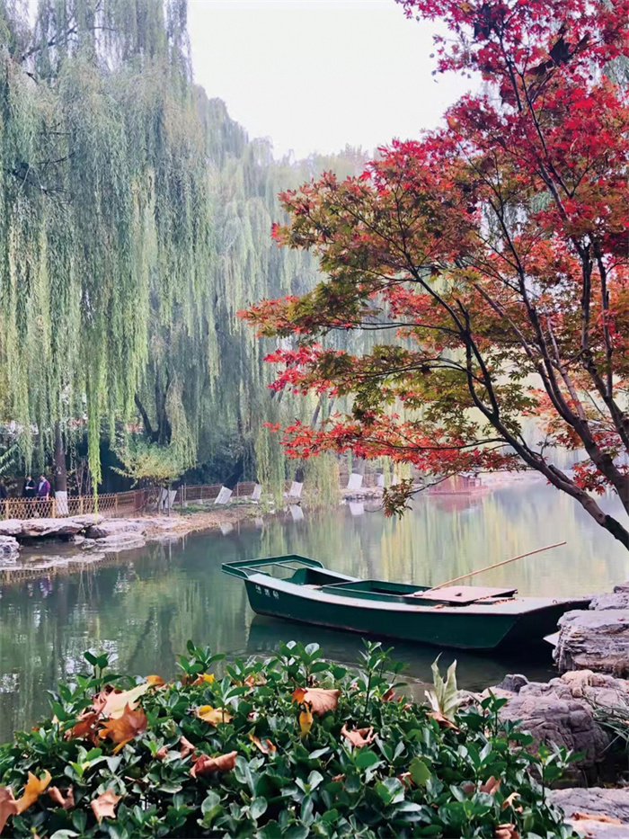 我在林校初为人师