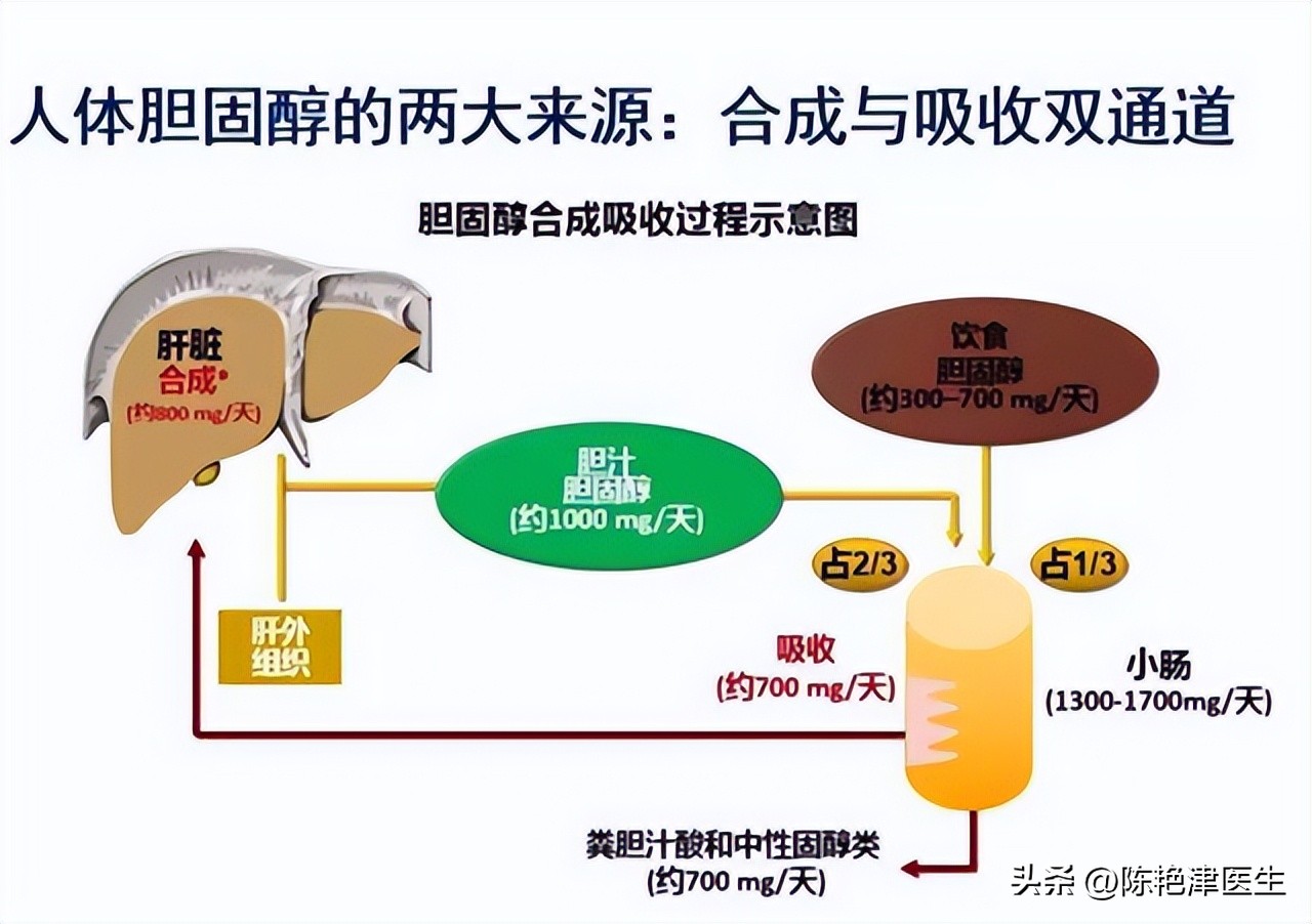 血脂高到什么程度要服用降脂药,血脂高多少需要吃降脂药
