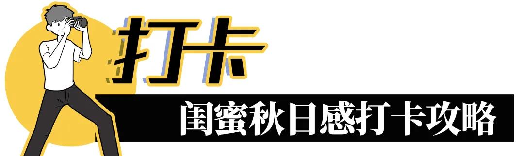 娲箹鍏洯娣卞湷,娲箹鍏洯鑽疯姳