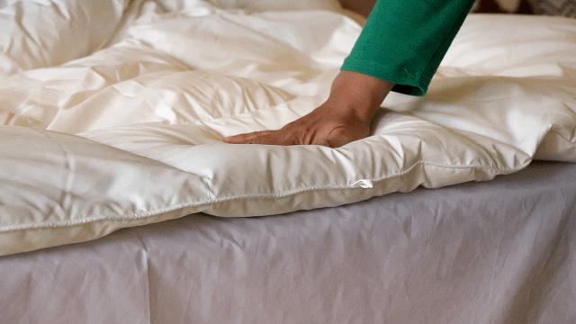 白鹅绒被贵不贵,网易严选鹅绒被羽绒被官方旗舰店