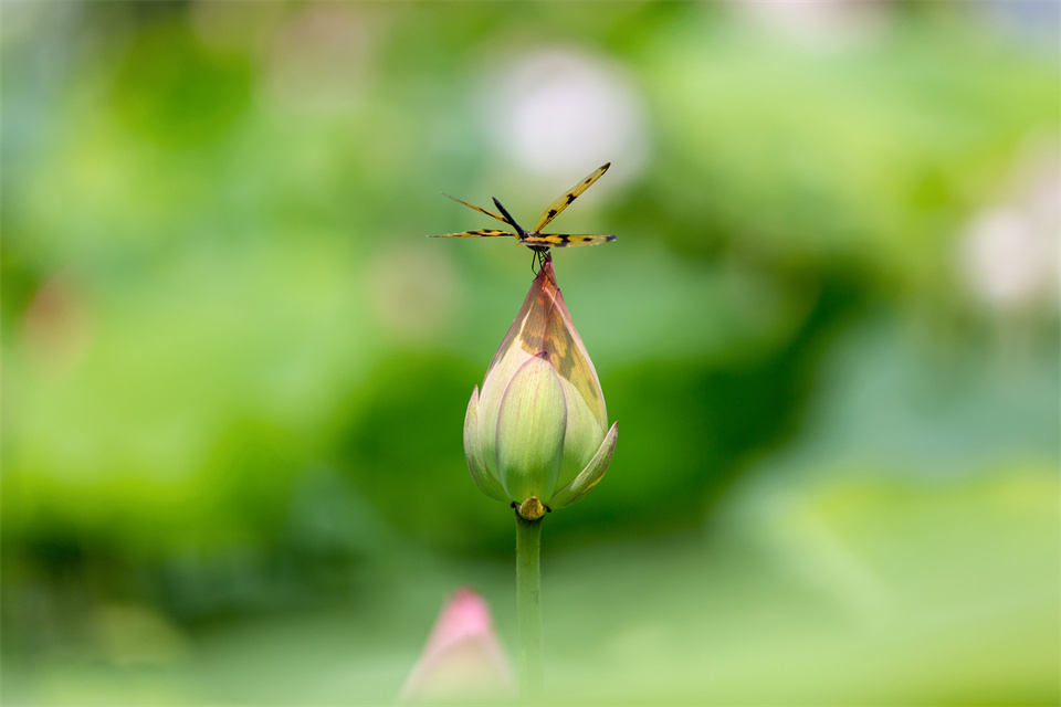 一个人负债累累又很无助怎么办,一个人在落魄的时候该怎么办