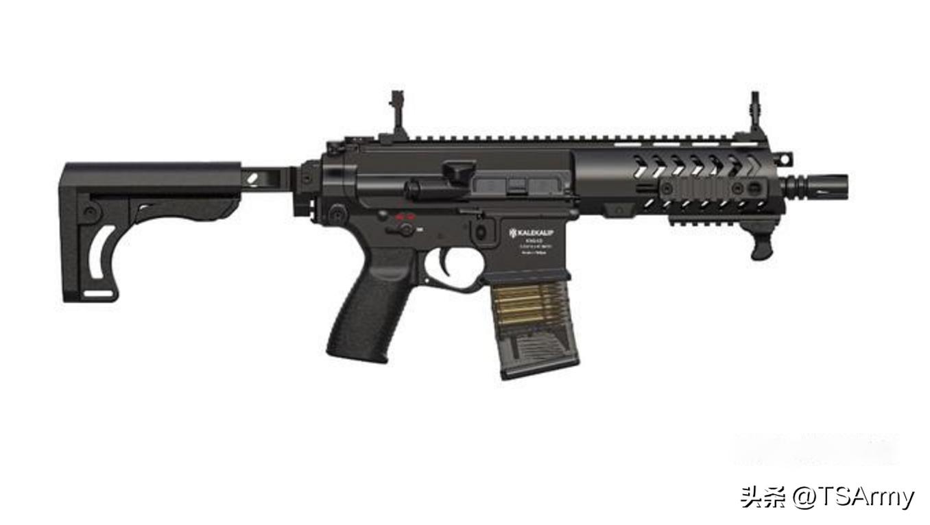 亚洲各国步枪,亚洲国家先进武器