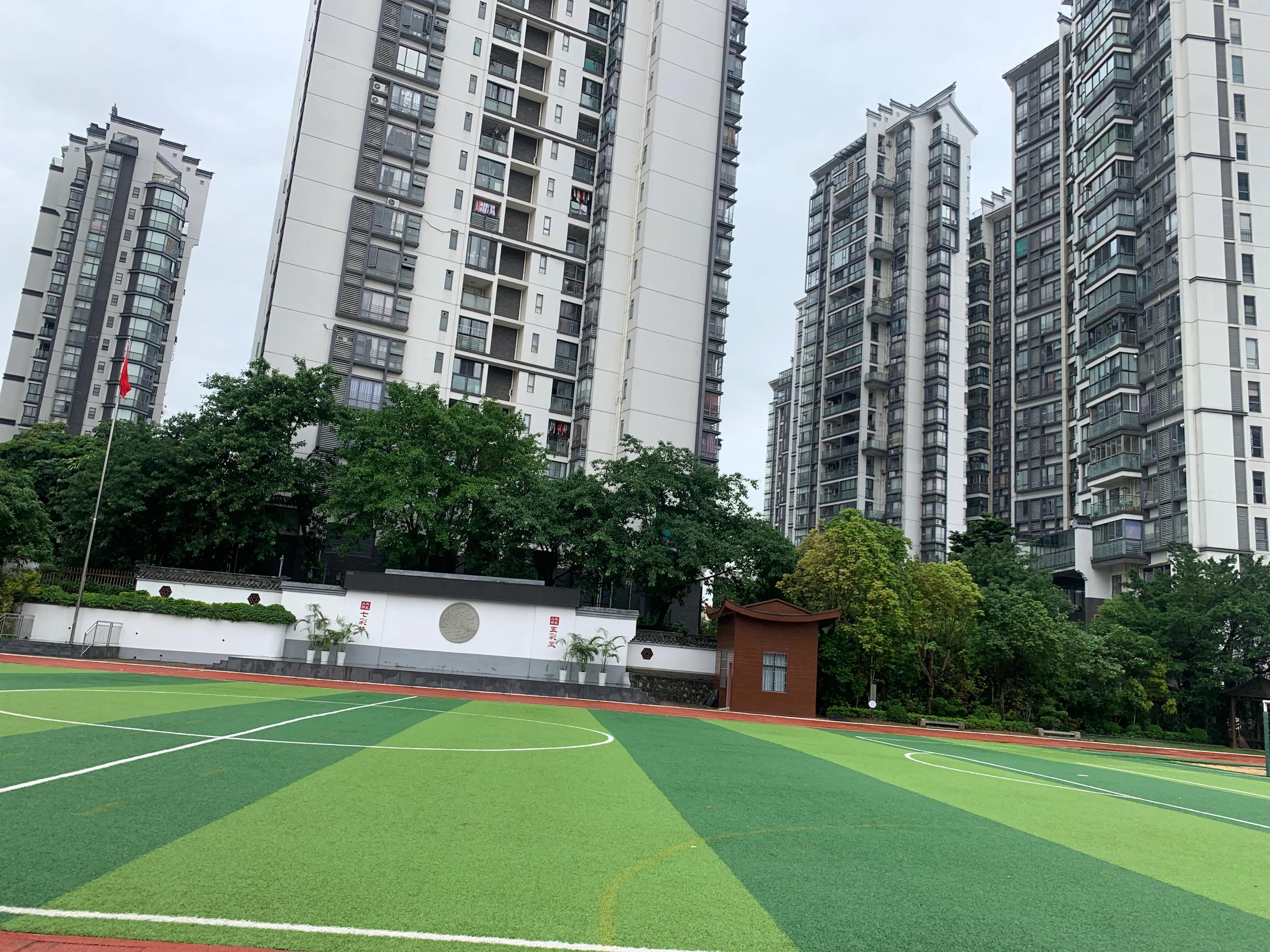 美丽的凤凰小学,林中凤凰小学