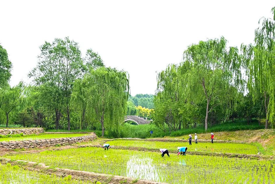 北京免费景美公园大全,北京这个公园也很美