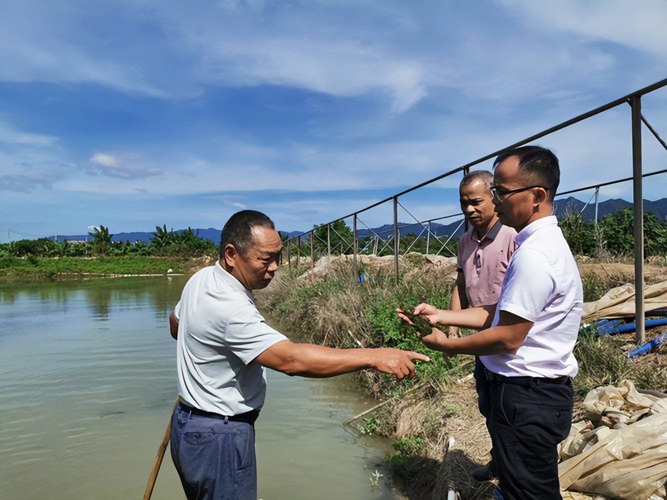 小伙养鹅养鸡上千只大鹅全卖了,养鹅被大雁带走2000只