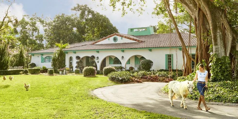 四个孩子、八匹马、八十多只鸡，漫步在一个家里：快乐的蓝狮农场