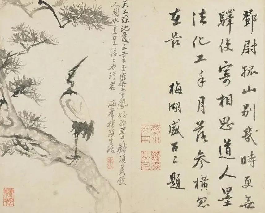 清代九大名家花鸟册页欣赏,清朝九大名家花鸟山水图