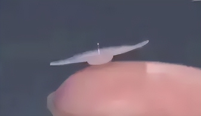 失去嗅觉/头痛/打喷嚏/记忆力衰减……浦东有特色中医门诊，专治这个病！