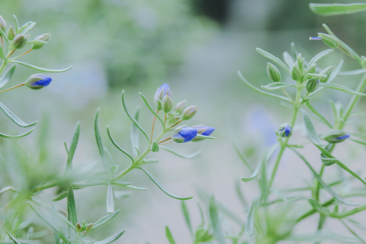 退休后没有朋友就幸福了,退休后没有一个朋友