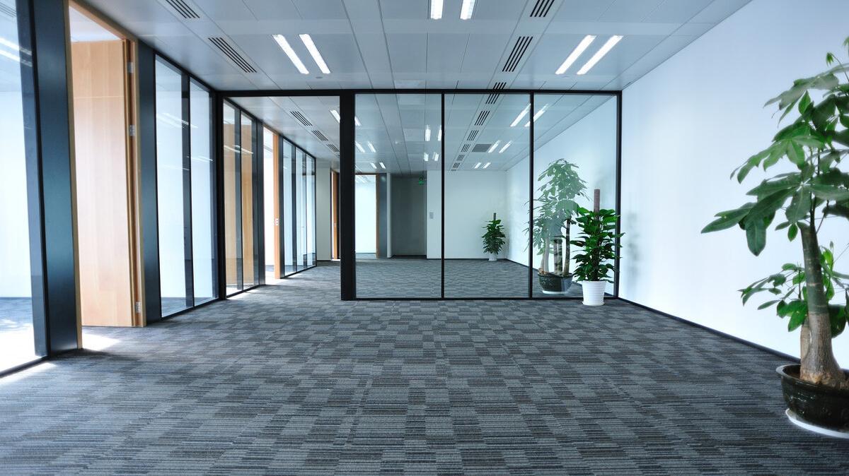 家中养8种盆栽树,客厅养什么盆栽树最好